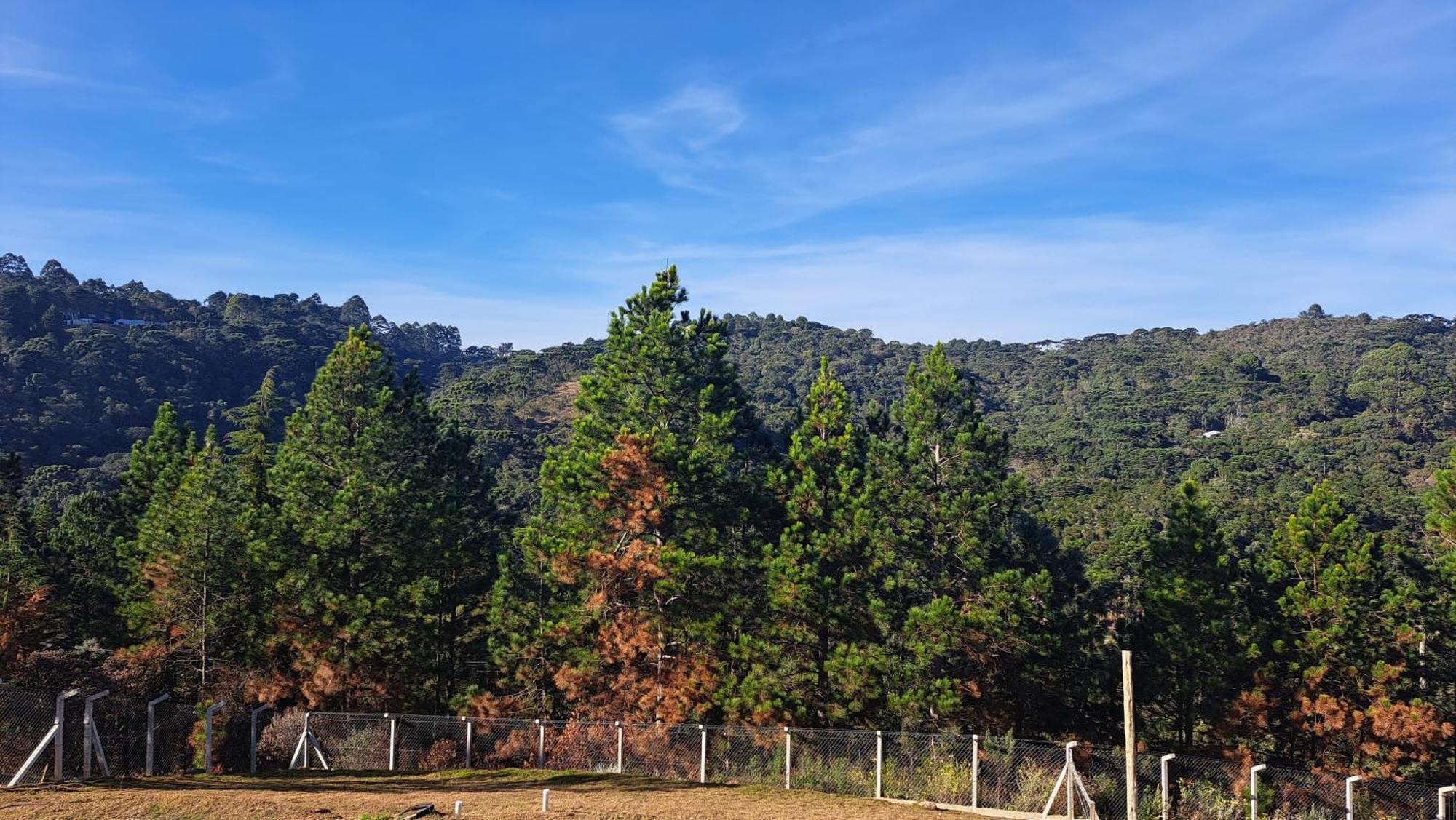 Chale Luz Do Luar Romantismo E Uma Linda Vista Campos do Jordão 外观 照片